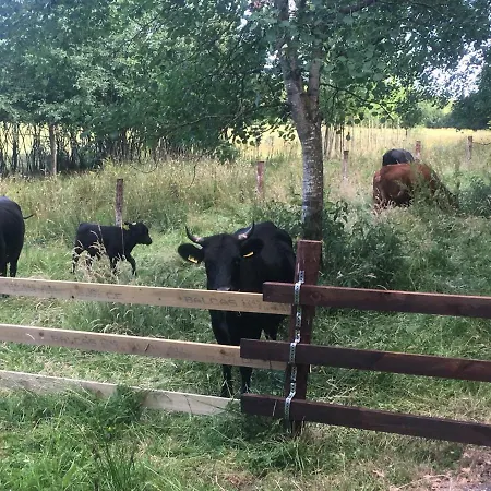 The Wild Farm * Mullingar